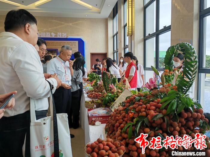 image045 - 【布拉格时报】“荔枝之乡 向新而行” 第八届中国荔枝龙眼产业大会开幕