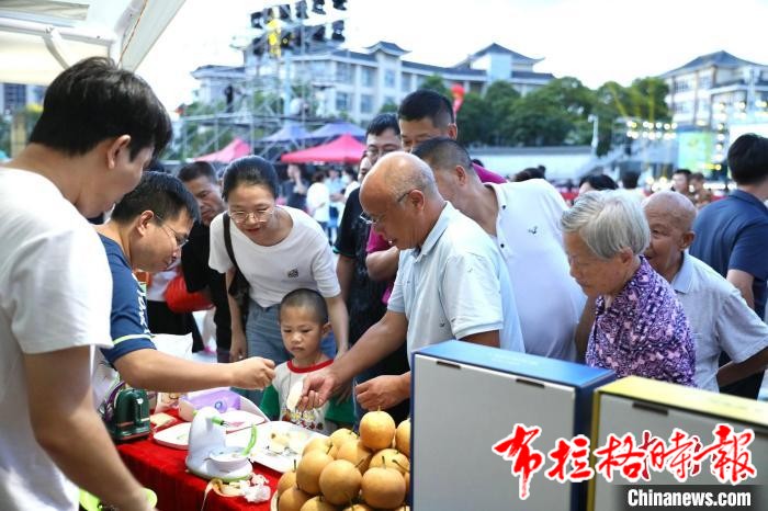 image033 - 【布拉格时报】广东连州水晶梨去年总产值超12亿元 成农民致富果