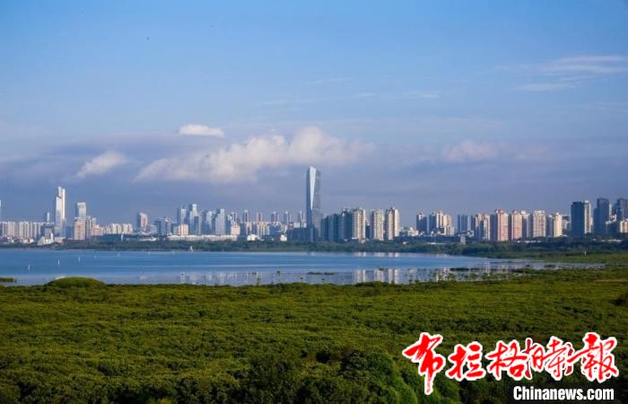 image040 - 【布拉格时报】广东湿地总面积190.68万公顷 保护修复成效明显