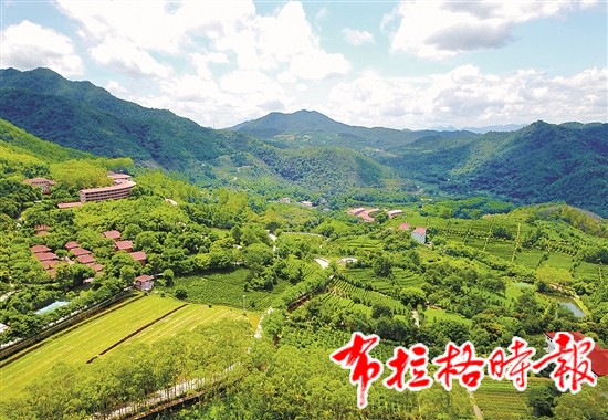 20240919 174159 - 【布拉格时报】雁南飞：梅县践行“两山”理论的积极探索