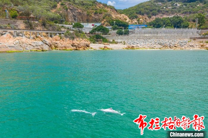 image040 - 【布拉格时报】山海风光一线牵：广东南澳环岛公路入围最美自驾精品路线