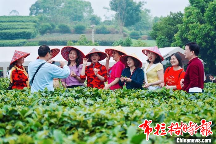 image009 1 - 【布拉格时报】广东英德举办归国华侨文化艺术沙龙 茶文化与归侨文化交融发展