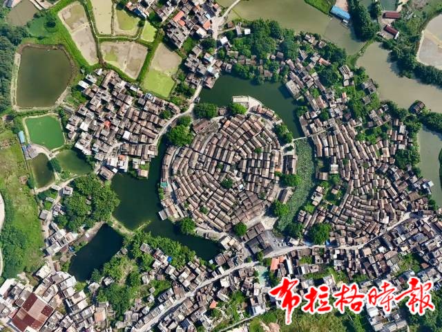 image029 1 - 【布拉格时报】一路繁花此相逢——这个春节，请到广东乡村过大年