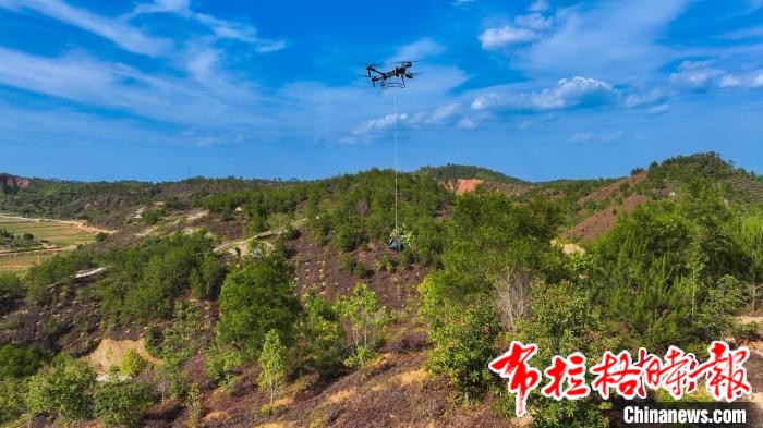 image049 1 - 【布拉格时报】2024年广东完成森林质量精准提升逾423万亩